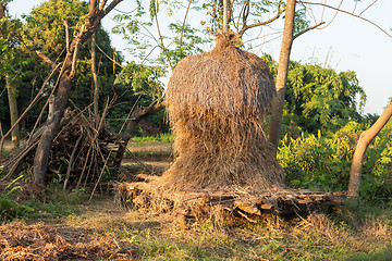 Image showing Bale of hay