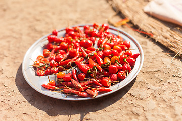 Image showing Chili peppers drying in the sun