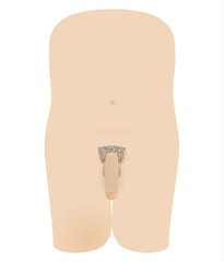 Image showing naked male body with penis