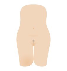 Image showing naked female body with vagina