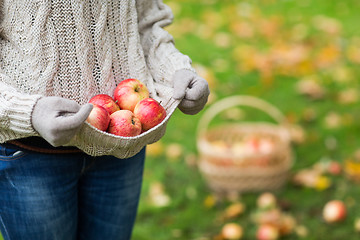 Image showing close up of woman with apples in autumn