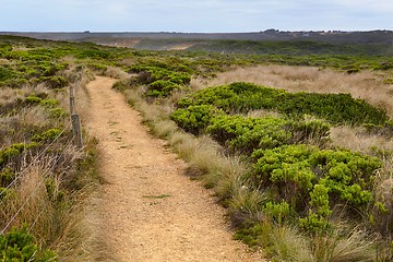 Image showing Fields of Australian wild landscape