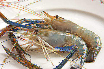 Image showing Whole raw prawns