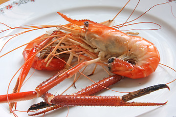 Image showing Cooked prawn