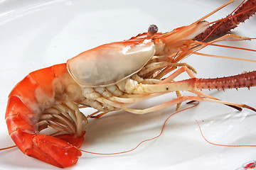 Image showing Cooked prawn