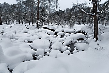 Image showing Winter Snowy Landscape