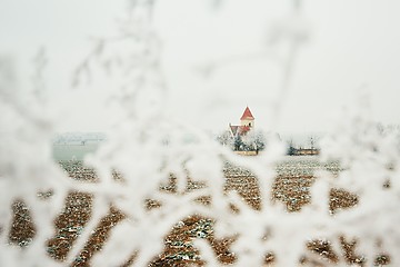 Image showing Small cemetery amid frozen landscape