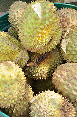 Image showing Group of durian in the market.