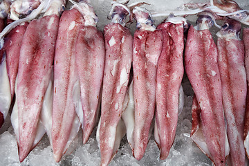 Image showing Fresh cuttlefish on ice on the market