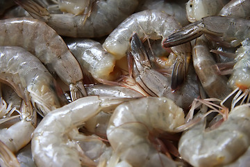 Image showing Whole raw prawns