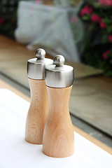 Image showing Salt and pepper shakers