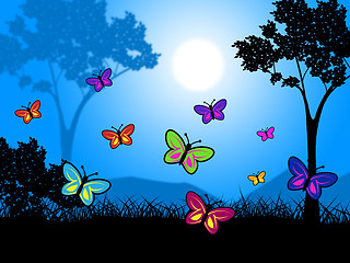 Image showing Butterflies Nature Means Countryside Outdoors And Green