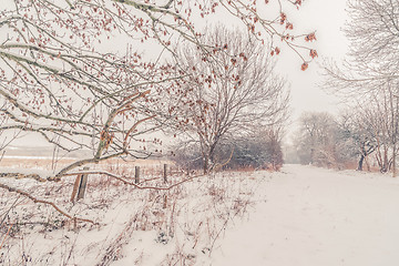 Image showing Fence by a road covered with snow