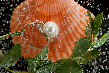 Image showing Ring And Shell