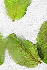 Image showing Ice with frozen mint