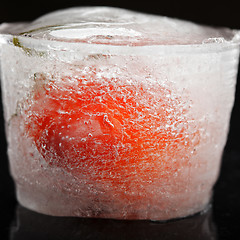 Image showing Tomato in ice