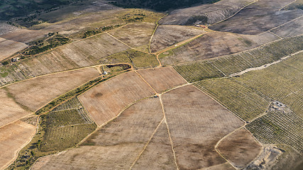 Image showing Agriculture from the sky