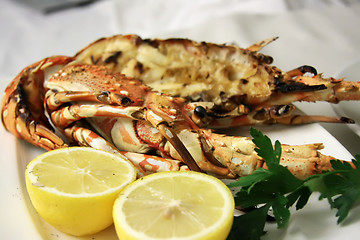 Image showing Grilled lobster