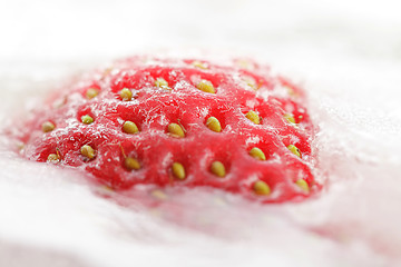 Image showing Strawberry partially frosen in ice