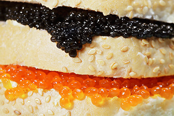 Image showing Caviar sandwich closeup