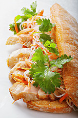 Image showing Hot banh mi sandwich with pork