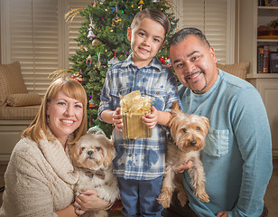 Image showing Young Mixed Race Family In Front of Christmas Tree