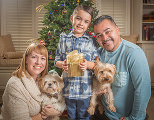 Image showing Young Mixed Race Family In Front of Christmas Tree