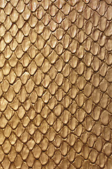 Image showing Gold Snake Leather