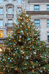 Image showing Big Christmas Tree