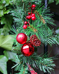 Image showing Red Christmas Baubles