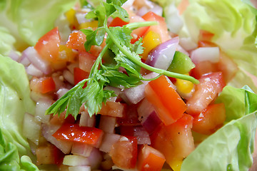 Image showing Fresh salad