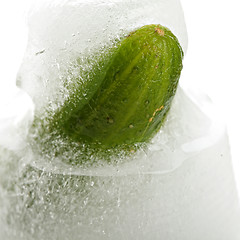 Image showing Cucumber in ice