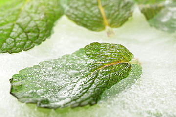 Image showing Frozen mint leaf