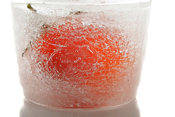 Image showing Tomato in ice cube