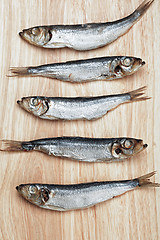 Image showing Fishes