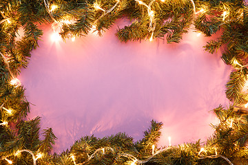 Image showing Spruce branches with garlands on pink background