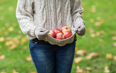 Image showing close up of woman with apples in autumn