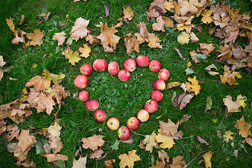 Image showing apples in heart shape and autumn leaves on grass