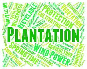 Image showing Plantation Word Means Agriculture Ranch And Hacienda