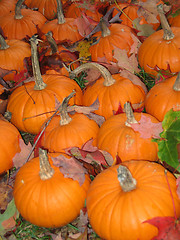 Image showing pumpkins and leaves