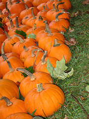 Image showing pumpkins and leaves on grass