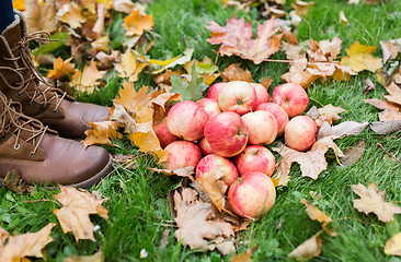 Image showing woman feet in boots with apples and autumn leaves