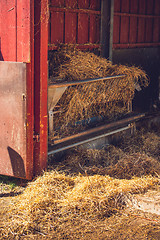 Image showing Stable with golden hay