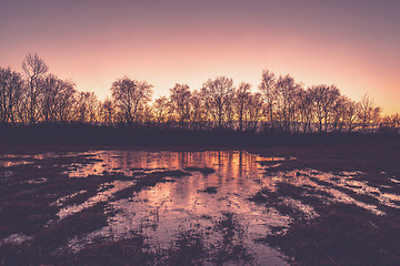 Image showing Frozen puddle in the sunset