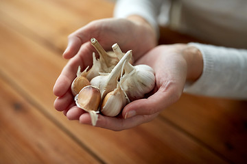 Image showing woman hands holding garlic