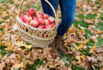 Image showing woman with basket of apples at autumn garden