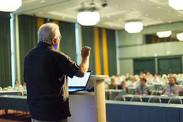 Image showing Senior public speaker giving talk at scientific conference.