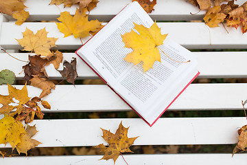 Image showing open book on bench in autumn park