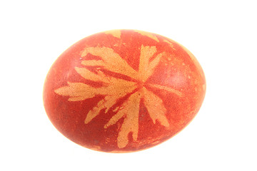 Image showing egg colored by plants and onion