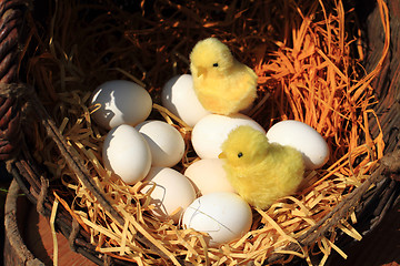 Image showing chicken and eggs easter decoration